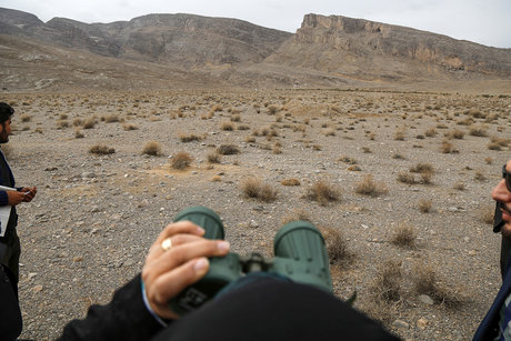 محیط زیست ایران مجلس خردمند می‌خواهد